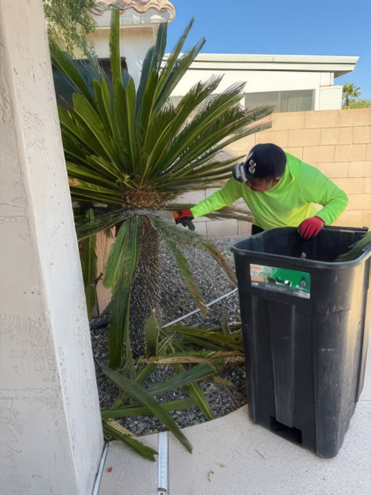 Cutting Palm